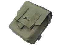 Molle M249 200Rds Ammo Pouch RG Flyye