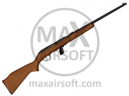 Savage 64G Semi-Auto .22LR Rifle