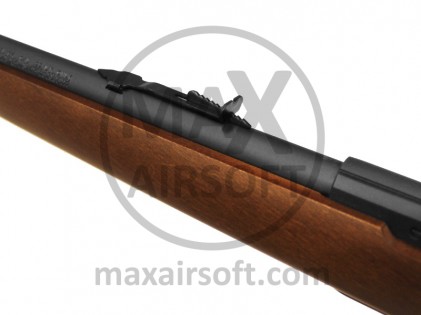 Savage 64G Semi-Auto .22LR Rifle