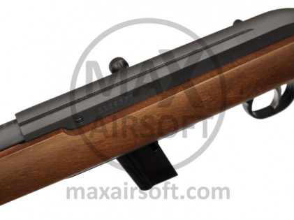 Savage 64G Semi-Auto .22LR Rifle