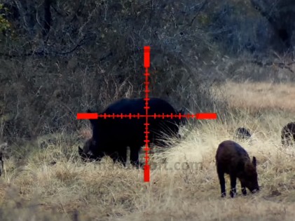 Sightmark Wraith HD 4-32X50 Digital Day/Night Riflescope